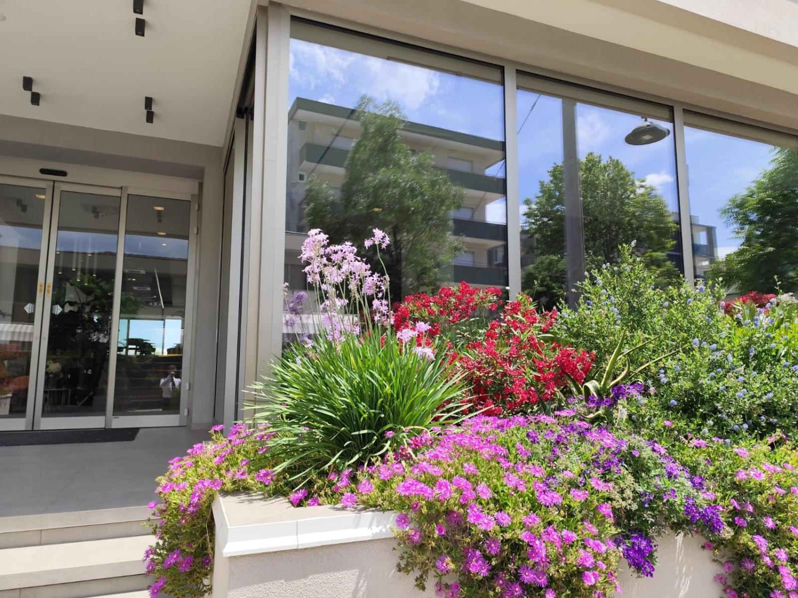 Hotel Sporting Riccione Eksteriør billede